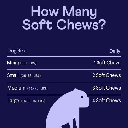 Finn Digestive Probiotics for Dogs - Complete Digestive System Support with Pumpkin, Prebiotics, & Live Probiotics - Vet Recommended & Made in The USA - 90 Soft Chews