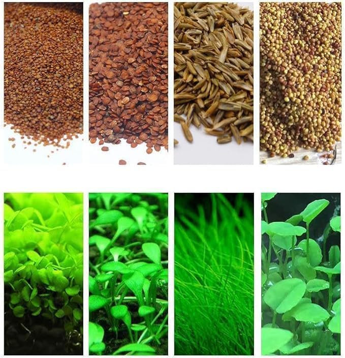 4 Bags Aquarium Plant S.e.e.ds, not Artificial Plastic Plant, Fish Tank Live Grass for All Substrate
