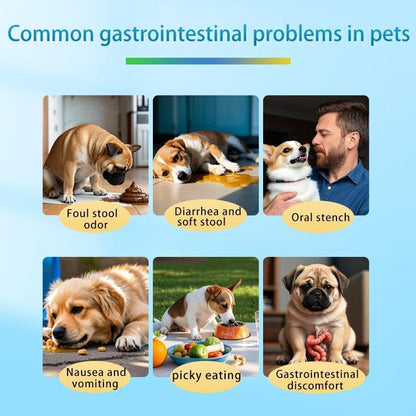 Probiotics for Dogs, Support Gut Health, Occasional Diarrhea, Digestive Health & Seasonal Allergies - Pork Flavor - 30 Soft Chews