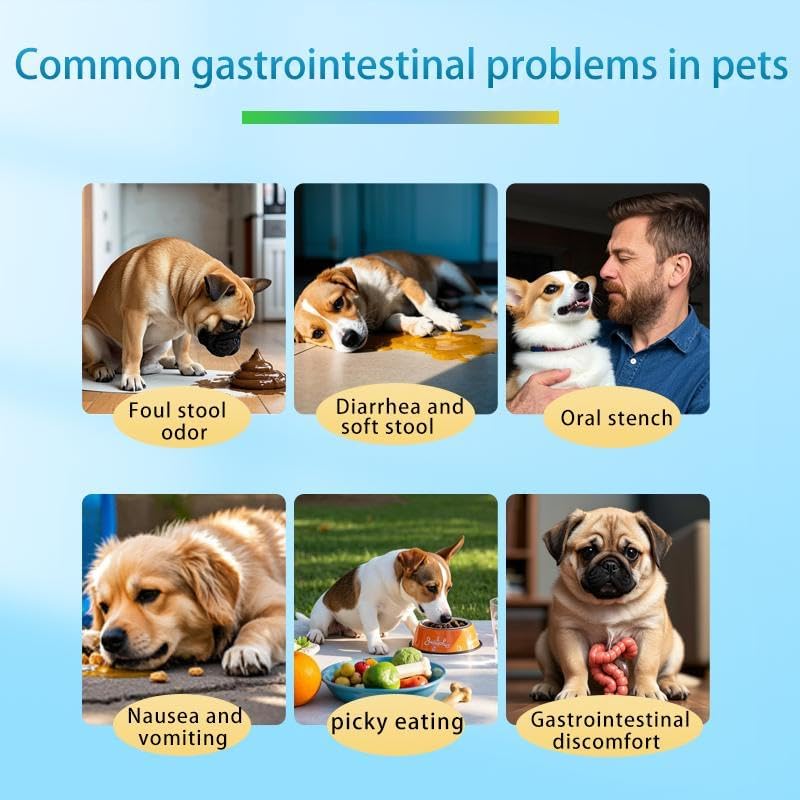 Probiotics for Dogs, Support Gut Health, Occasional Diarrhea, Digestive Health & Seasonal Allergies - Pork Flavor - 30 Soft Chews