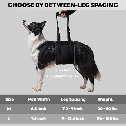 Adjustable Dog Lift Harness for Dog Sling Carrier with Handle Soft Rehab Support Sling for Weak Rear Legs Ideal for Seniors, Injured, and Post ACL Surgery Recovery(M)
