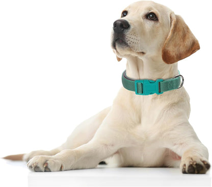 Black Dog Collar Reflective, Highly Reflect Safety Neoprene Padded Puppy Collar Basic Durable Soft Nylon Male Dog Collar for Xs Small Medium Large Boy Pet Dogs Cats, S