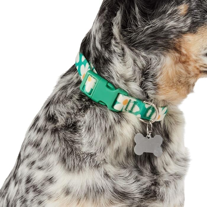 YOULY Daisy Dog Collar Large