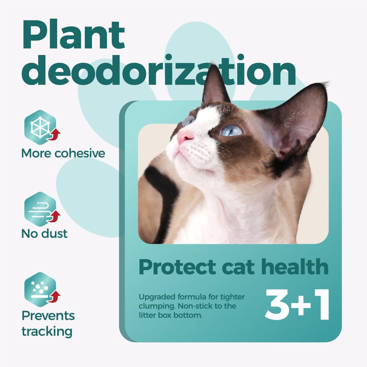 Tapioca Cat Litter, Cassava Cat Litter Odor Control Dust-Free Clumping Litter