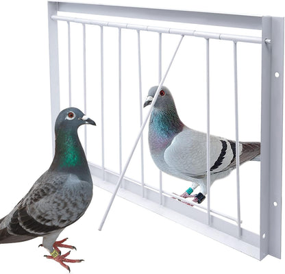 15.7in/40cm Pigeon Cage T-Trap Birdcage Iron Wire Trap Door for Racing Pigeon, 15.7in (40cm)