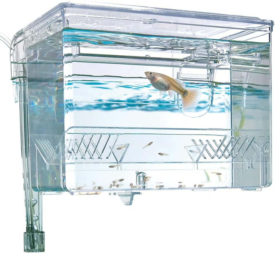 Fluval Multi-Chamber Holding and Breeding Box, Medium