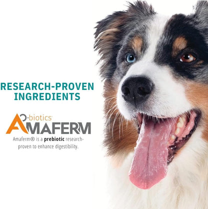 Vitalize Dog Gel - After Surgery Recovery & Probiotics Alternative Immune Support Booster Supplement for Dogs Digestive & Gut Health - Liquid Gel Paste (15 ml) (Pack of 2)