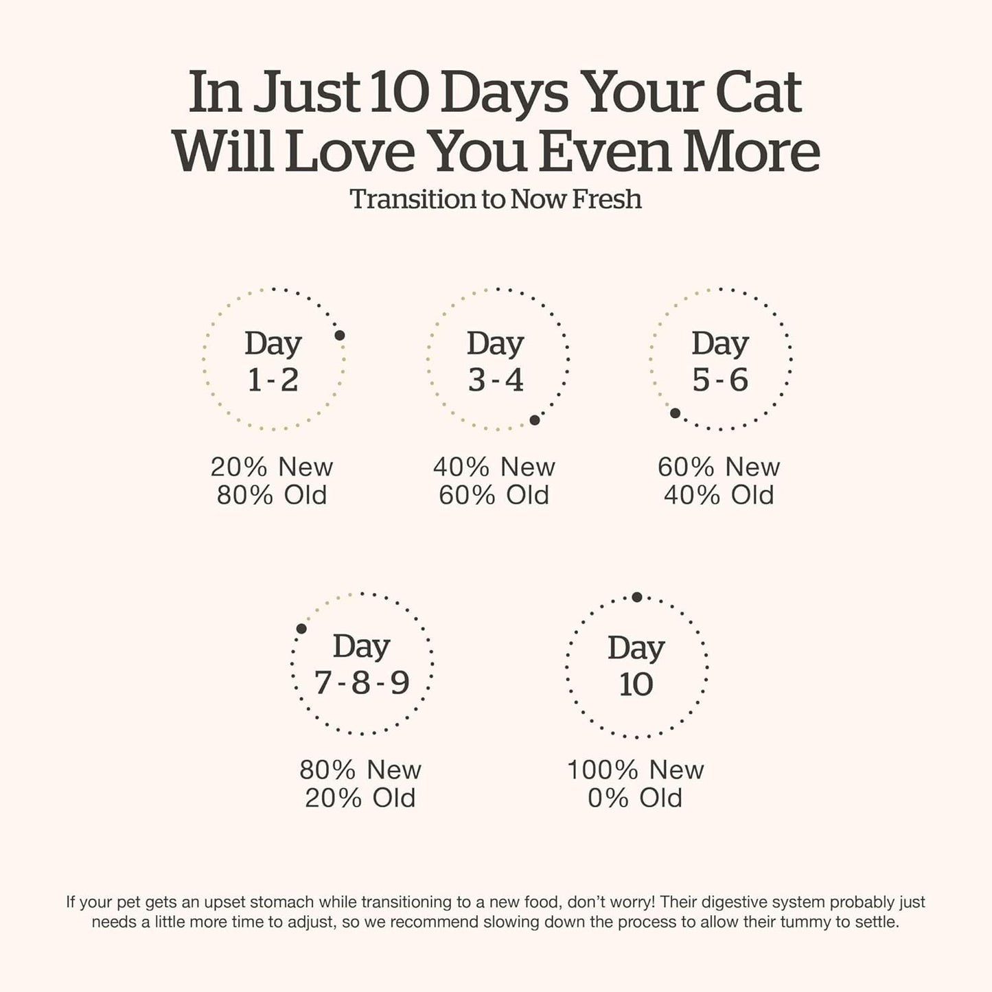 Now Fresh Good Gravy Grain-Free Dry Cat Food with Chicken, Healthy Kibble for Adults & Seniors Coated in Bone Broth – Just Add Water to Moisten, with Pumpkin for Sensitive Stomachs, 3 lb Bag