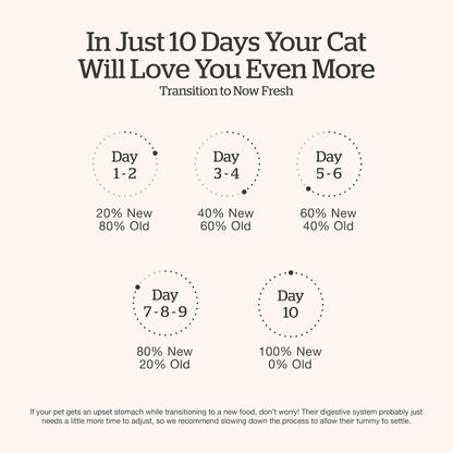 Now Fresh Good Gravy Grain-Free Dry Cat Food with Chicken, Healthy Kibble for Adults & Seniors Coated in Bone Broth – Just Add Water to Moisten, with Pumpkin for Sensitive Stomachs, 3 lb Bag