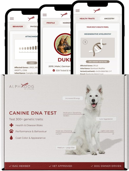 AlphaDog DNA Complete Dog DNA Test Kit – Clinical Grade, Breeder Preferred, and Vet-Approved - Includes Breed Analysis, Health Traits, Behavior Traits, & Coat Traits