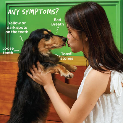 Notti Dental Fresh Advanced Plaque and Tartar Spray - Oral Care Spray - Water Additive - Pet Dental Care - No Toothpaste No Toothbrush - Eliminate Bad Dog and Cat Bad Breath - Freshen Breath