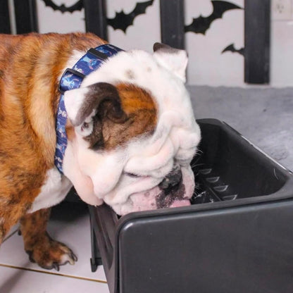 Fluff Trough XL Binge Blocker – Elevated Slow Feeder Dog Bowl with Silicone Slow Feeder Insert, Raised Dog Bowl & Food Container for Medium Large Dogs, Vet Recommended Elevated Dogs Dish (Black)