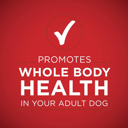 Purina ONE Natural Wet Dog Food Gravy, Tender Cuts in Gravy Beef and Barley Entrée - 13 Ounce (Pack of 12)