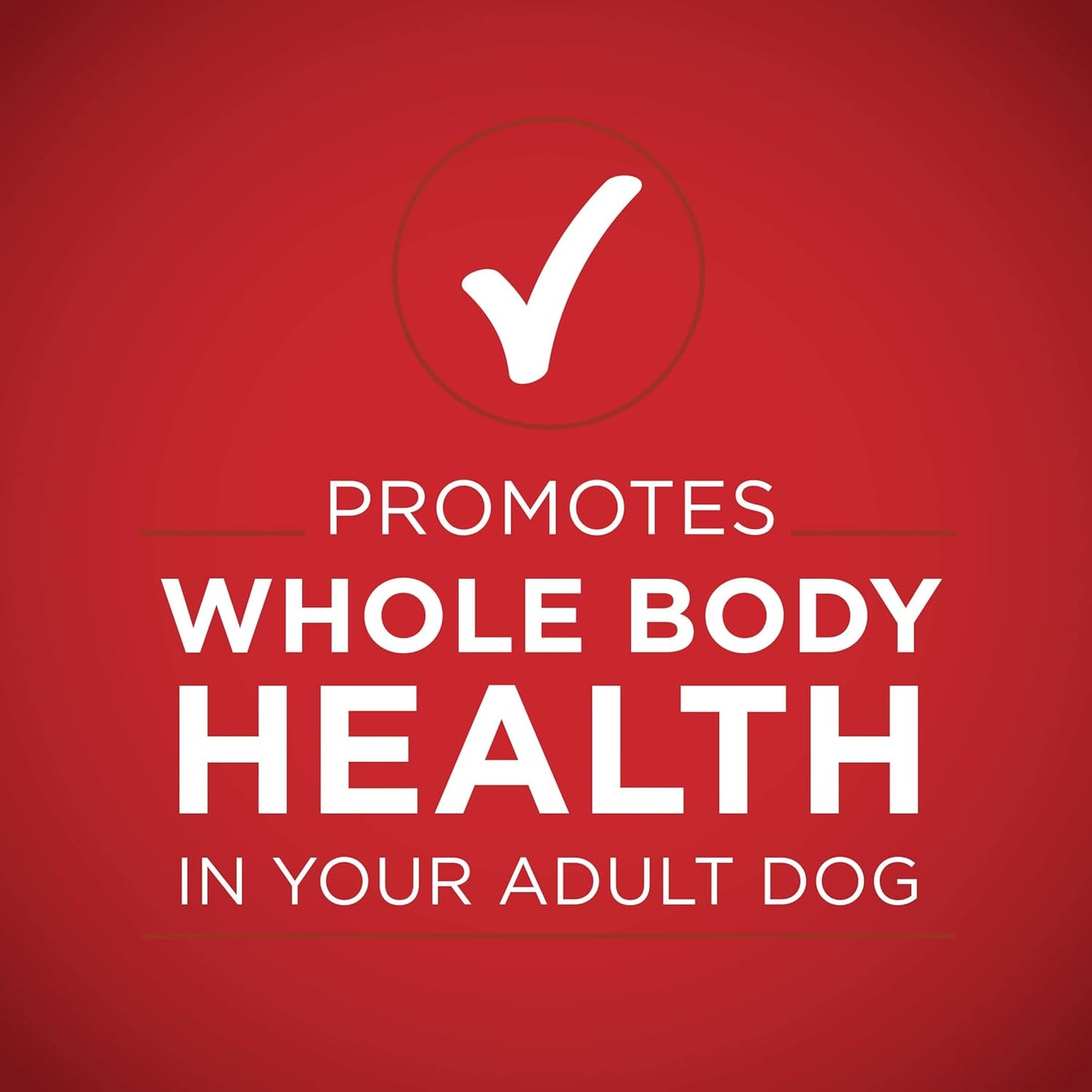 Purina ONE Natural Wet Dog Food Gravy, Tender Cuts in Gravy Beef and Barley Entrée - 13 Ounce (Pack of 12)