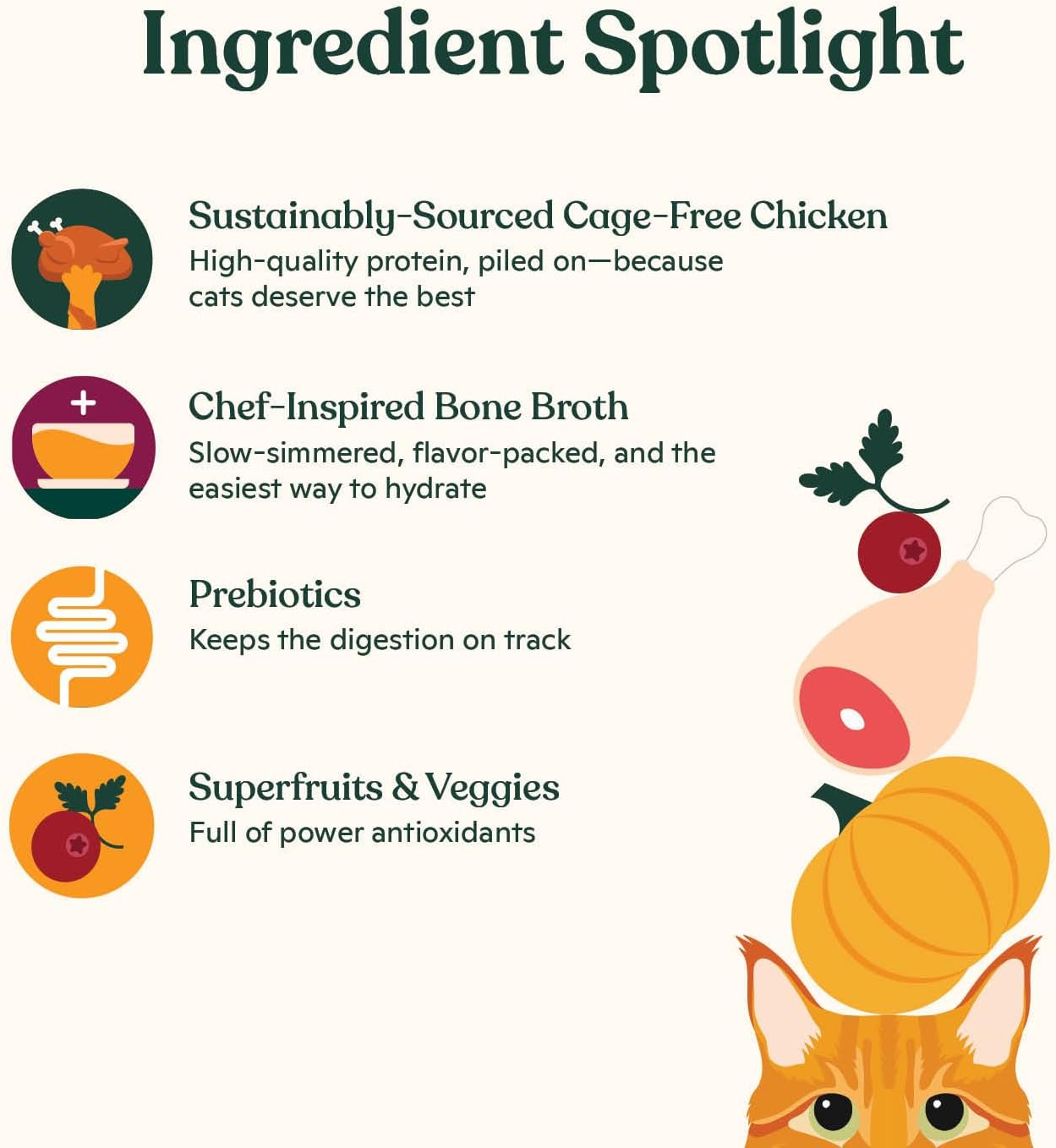 Made by Nacho Dry Cat Kibble 11lb Bag, High Protein and Grain-Friendly Premium Cat Food, Cage-Free Chicken & Pumpkin Recipe, Infused with Bone Broth for Hydration, Limited Ingredients, Single Bag