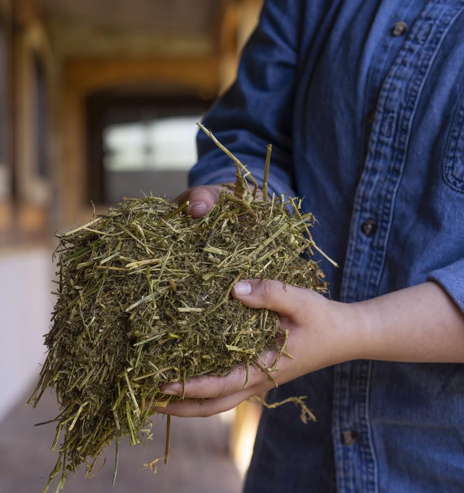 Triple Crown Stress Free Forage for Horses, Calming Equine Supplement, Stress Relief Forage, Anxiety Relief Horse Supplement, 50 lbs