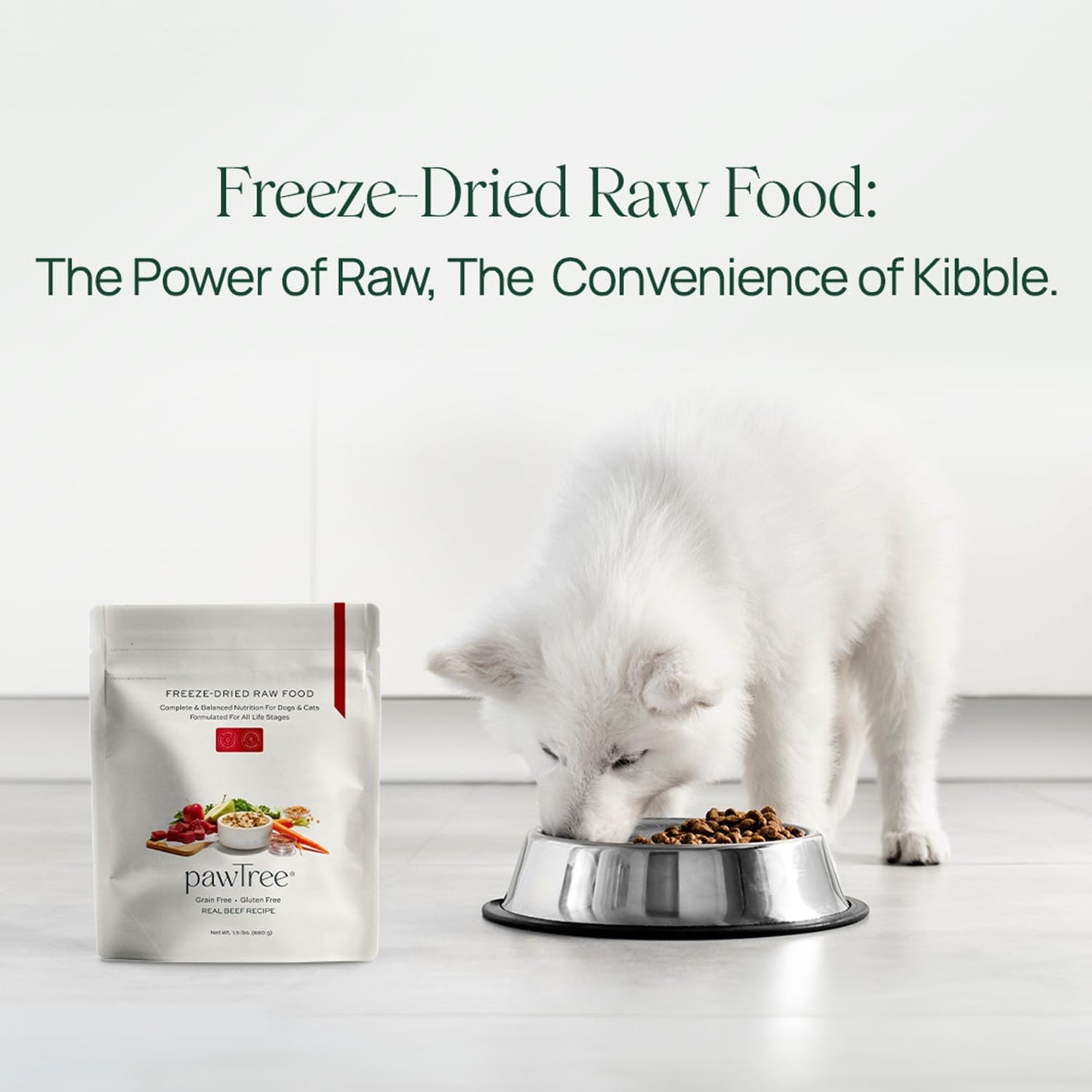 pawTree Bundle for Dogs & Cats – Freeze-Dried Raw Food (1.5 lbs, Chicken) & Gastro Pro Plus (30 ct)– Complete Nutrition & Digestive Support