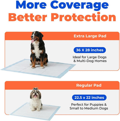 Best Pet Supplies Puppy Pads (22.5 x 22 Inches) - Disposable, Dog Training Potty, Super Absorbent Baby Blue Puppy Pee Pads for Dogs (300 Count)
