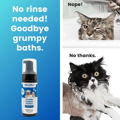 No Rinse Deodorizing Dry Pet Shampoo Plus Conditioner Foam for Dogs and Cats, Waterless Cleanse Enhanced with AG21 Chitosan-Silver Natural Coat Refresh, 5 Oz