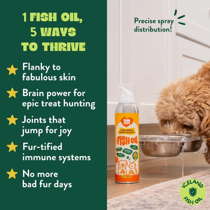 Omega 3 Fish Oil for Dogs and Cats (5 oz) - Icelandic Fish Oil Liquid Dog and Cat Supplement with EPA DHA for Skin, Coat, Joint & Health - Natural Pet Supplement - Aluminum Spray Bottle