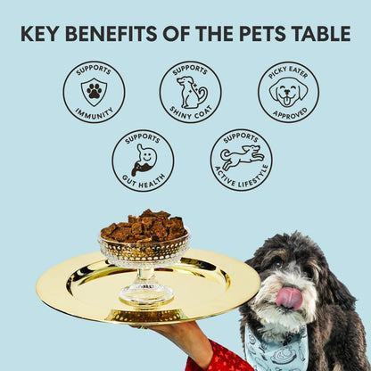 The Pets Table Air Dried Grain Free Dog Food for Dogs Large, Medium and Small | Puppy Dog Food, Adult Dog Food, Senior Dog Food | Beef & Berries 4.5 lbs / 72 oz Bag