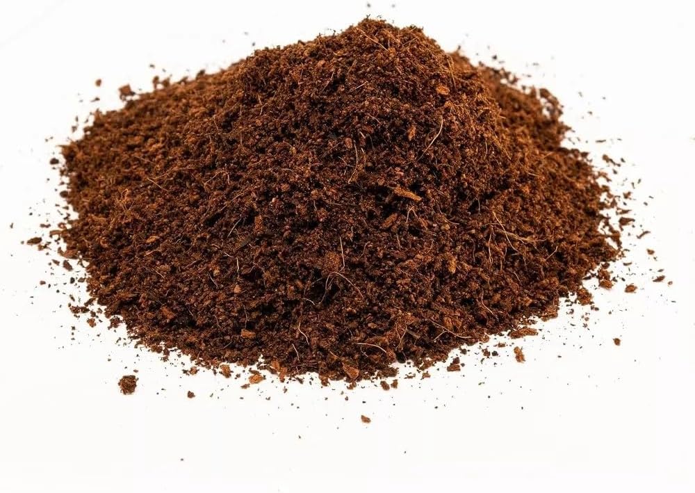 Zoo Med Eco Earth All-Natural Loose Coconut Fiber, Safely Composted, Tropical Substrate for Reptiles (8 Quarts, 2-Pack)