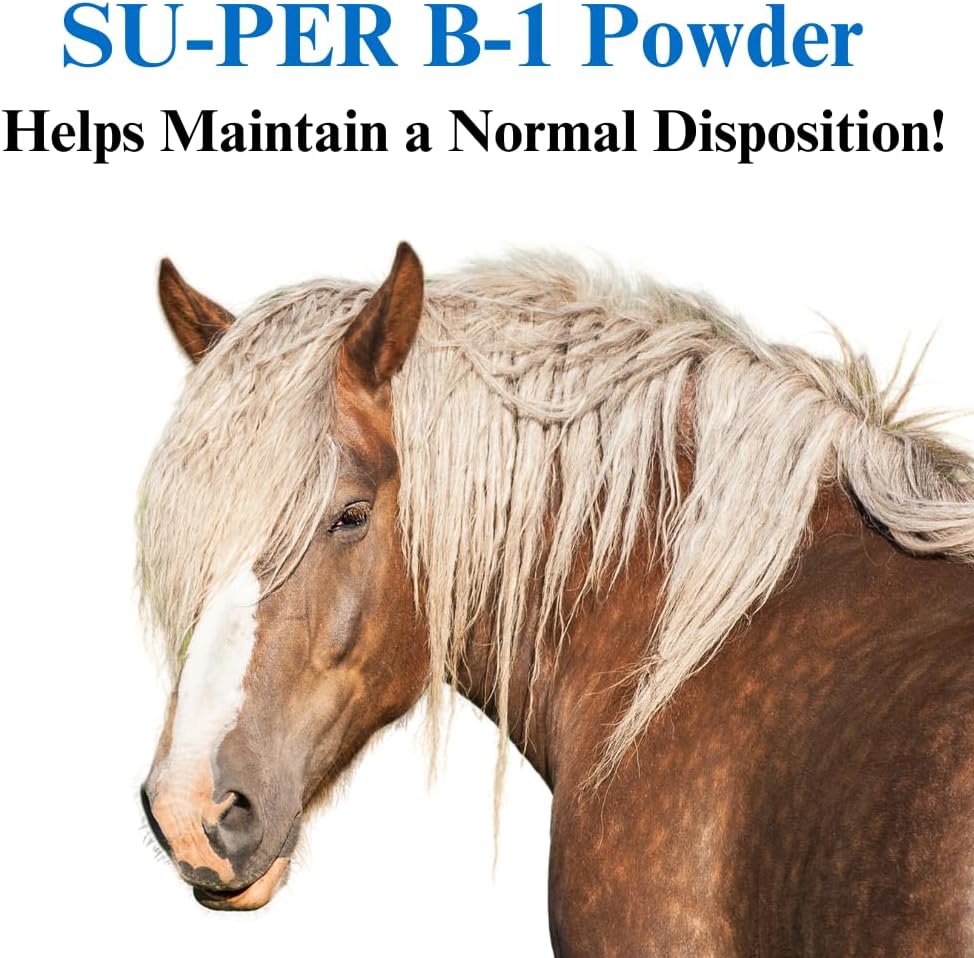 SU-PER B-1 Horse Calming Supplement - Equine Vitamin B-1 Support Horse Calmer Powder - Appetite Booster Supplement for Horses - 2.5 Pounds, (2 Pack)