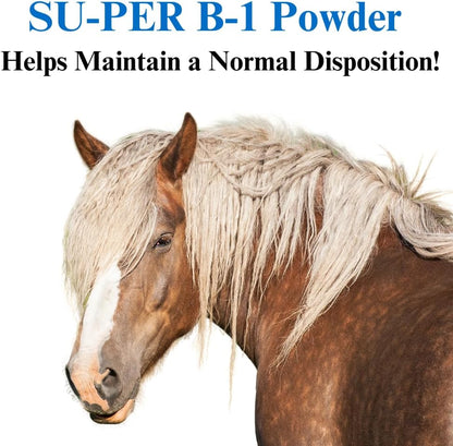 SU-PER B-1 Horse Calming Supplement - Equine Vitamin B-1 Support Horse Calmer Powder - Appetite Booster Supplement for Horses - 2.5 Pounds, (2 Pack)