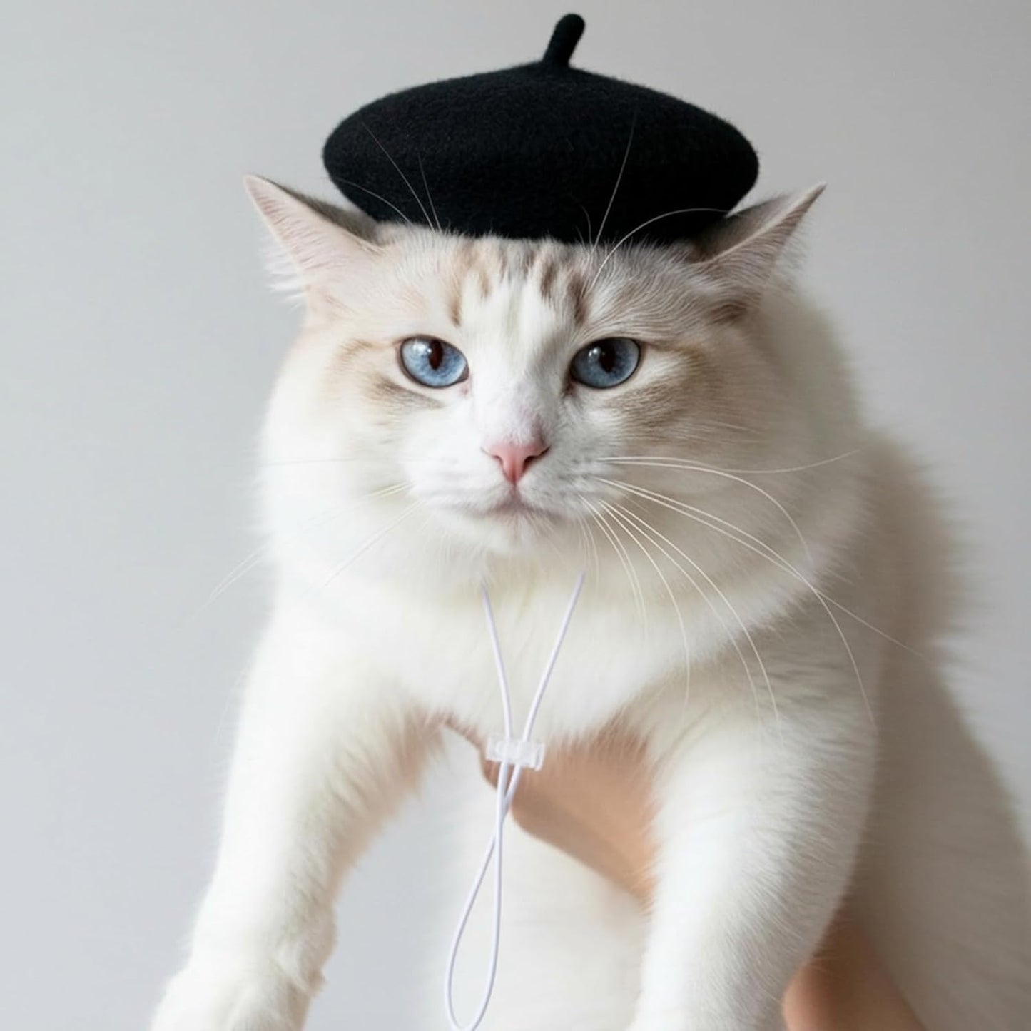 Dog Beret Dog Cat Hats, Funny Artist Dogs Hat, French Mushroom Artist Fedora Hat Pet Headwear Decor Christmas Costume Hair Accessory Photo Props