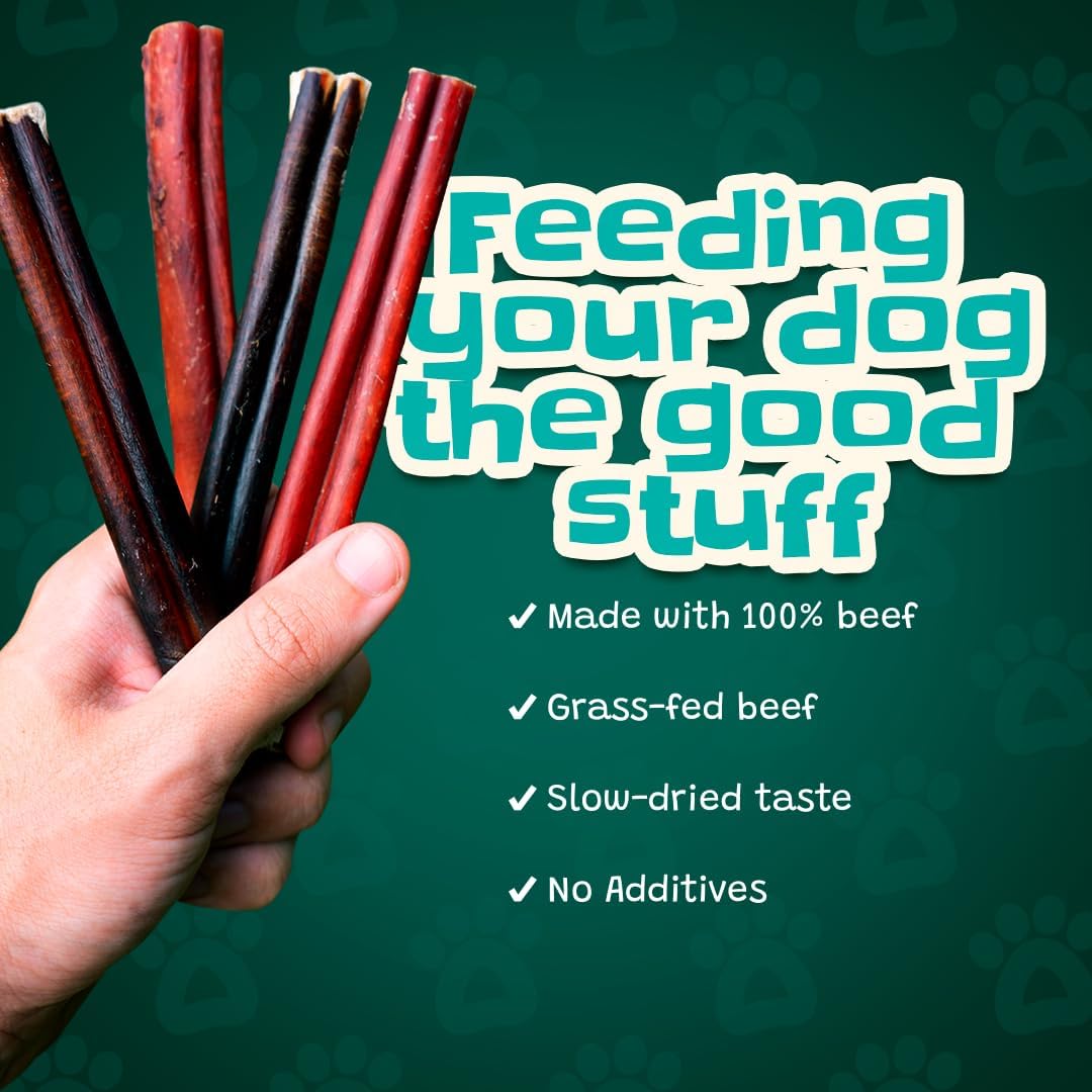 Junior Bully Sticks 6" Beef Bladder — 15 Count | Natural Single-Ingredient, Long-Lasting Dog Chews; Dental Support Treats for Pups and Small Dogs. Puppy Chew Sticks