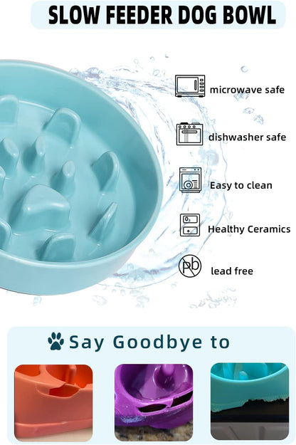 HAOTOP Ceramic Fun Slow Feeder Bowl, Porcelain Slow Eater Bowl for Medium Sized Dogs (Turquoise)