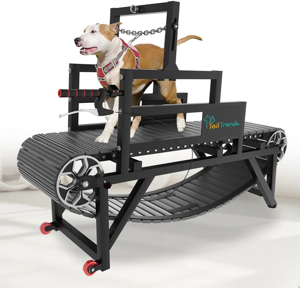 Dog Treadmill: Multi-Functional with Brake & Resistance Adjustment, Suitable for Large & Medium Dogs, Supports Up to 300 lbs, Easy to Move Indoors & Outdoors - Dog Treadmill for Healthy Exercise