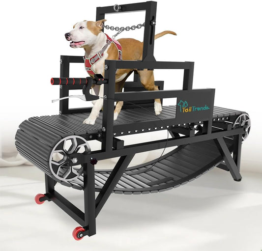 Dog Treadmill: Multi-Functional with Brake & Resistance Adjustment, Suitable for Large & Medium Dogs, Supports Up to 300 lbs, Easy to Move Indoors & Outdoors - Dog Treadmill for Healthy Exercise