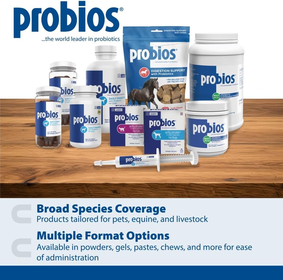 Probios for Dogs Soft Chews, Probiotics for Dogs, Daily Supplement for Gut Health, Digestion & Immune Support, Medium & Large Breeds, 8.46oz (Pack of 2)