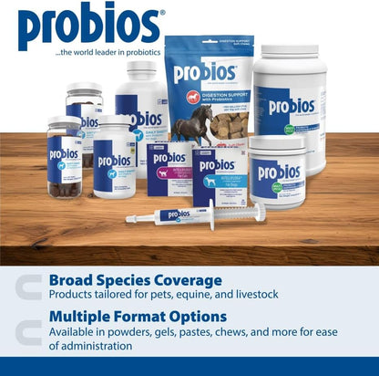 Probios for Dogs Soft Chews, Probiotics for Dogs, Daily Supplement for Gut Health, Digestion & Immune Support, Medium & Large Breeds, 8.46oz (Pack of 2)
