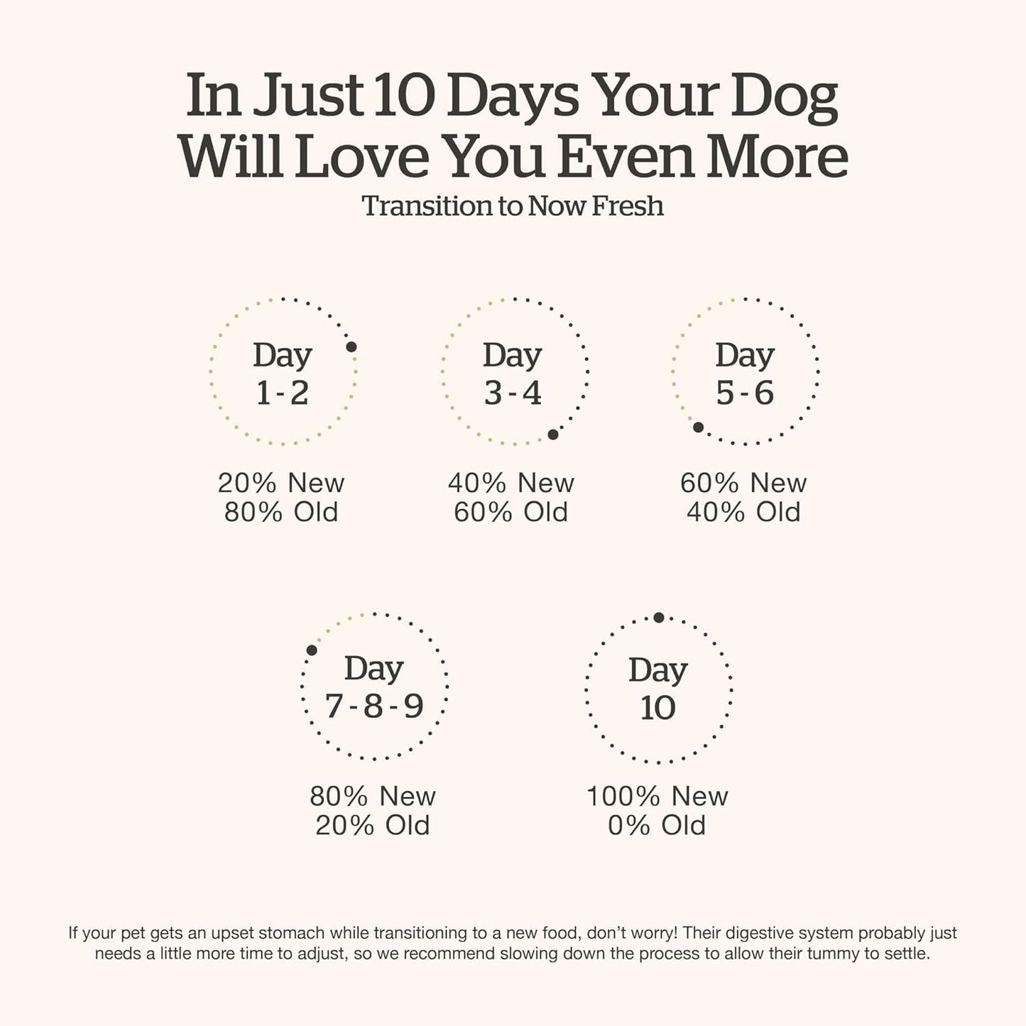 Now Fresh Good Gravy Premium Dry Dog Food with Grass-Fed Beef & Ancient Grains, Healthy Kibble for Adults Coated in Bone Broth – Just Add Water to Moisten, Made with Real Red Meat, 3.5 lb Bag