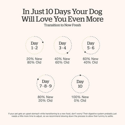 Now Fresh Good Gravy Premium Dry Dog Food with Grass-Fed Beef & Ancient Grains, Healthy Kibble for Adults Coated in Bone Broth – Just Add Water to Moisten, Made with Real Red Meat, 3.5 lb Bag