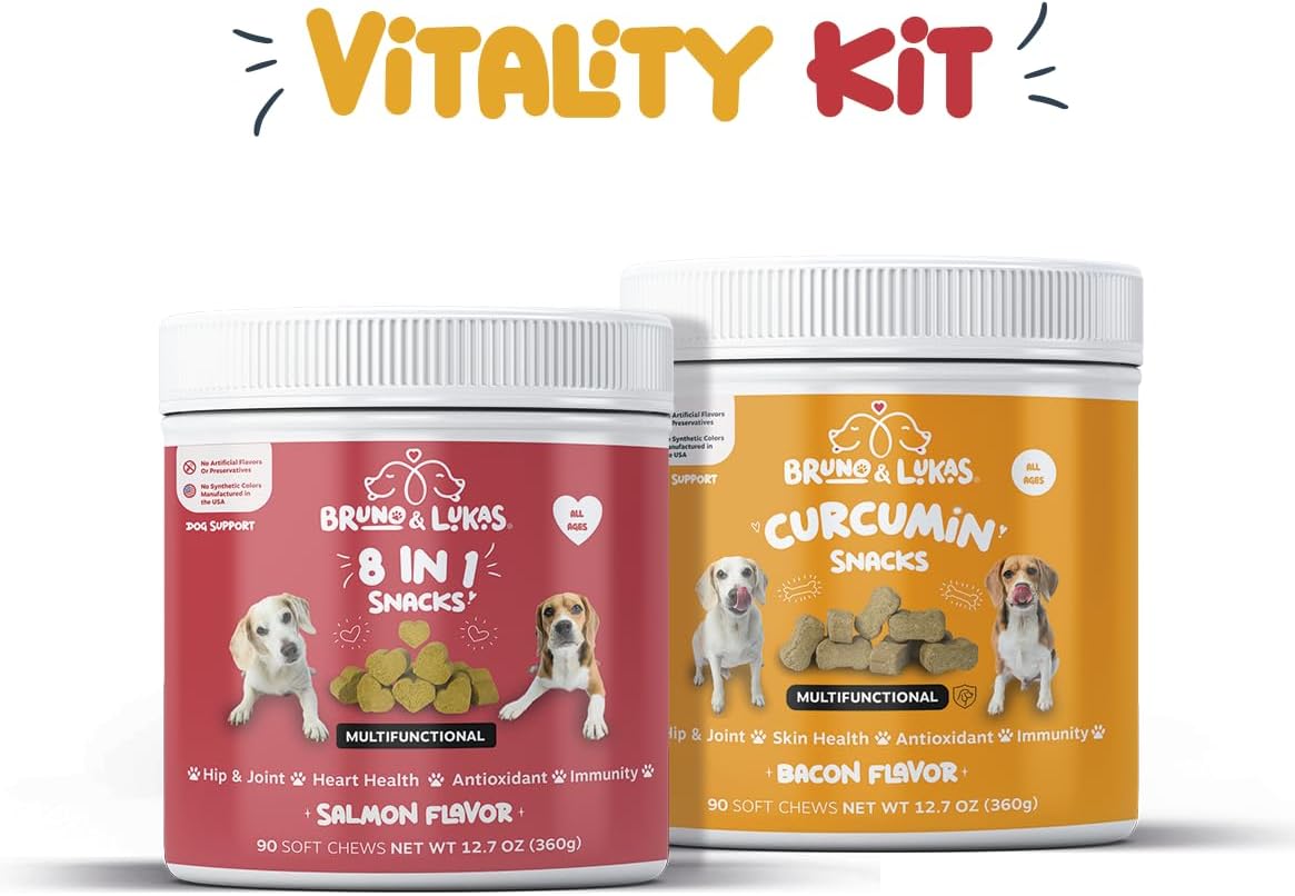 Turmeric & Multivitamin Chews for Dogs – 10-in-1 Supplement with Glucosamine, Curcumin, Omega Fish Oil & Antioxidants – Joint Pain Relief, Immune, Digestive, Skin & Coat Support (90 Chews)
