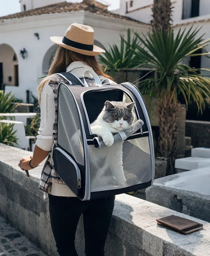 Pet Carrier Travel Cat Backpack Soft Dog Carrier for Small Dogs and Medium Cat, for Puppy Kitten Bunny up to 15lbs, Cat Carrying Backpack Collapsible (Black)