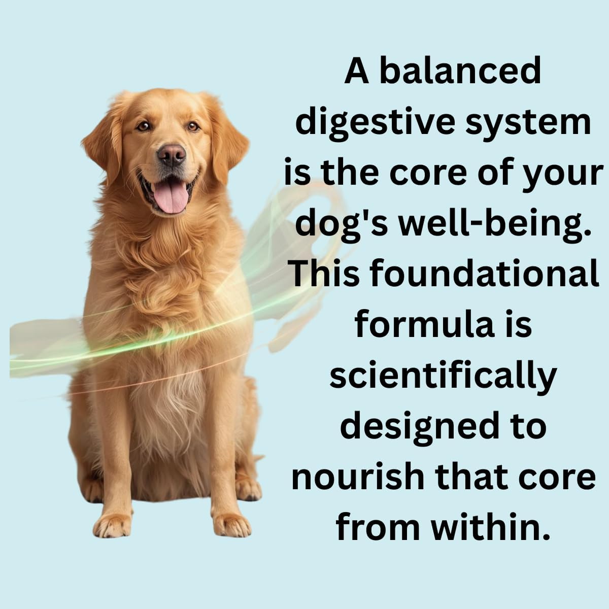 PetCultures Daily TriBiotic Formula | Probiotic Powder for Dogs with Digestive Enzymes & Vitamins | Supports Gut Health & Overall Wellness - Made in USA (10)