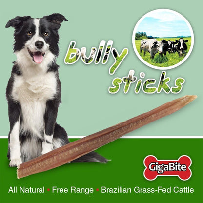 GigaBite All Natural Value Bully Sticks by Best Pet Supplies - 3 to 5 Inch, 1 Pound