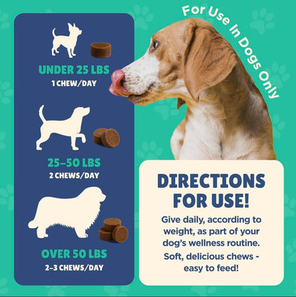 Senior Dog Supplement - Glucosamine, MSM, Turmeric, Salmon Oil, Probiotics & Ashwagandha - Supports Cognitive, Hip & Joint, Digestive, Immune & Heart Health - Dog Dementia Supplement.