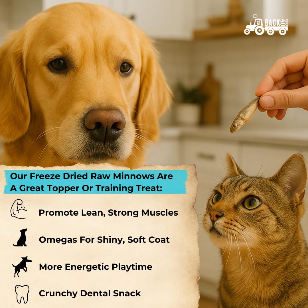 Premium Freeze Dried Minnows for Dogs & Cats - Single Ingredient Raw Dog Training Treats & Dog Food Topper - Made in USA - Gluten Free, Grain Free, High Protein, Rich in Omega-3s - (1.5oz)