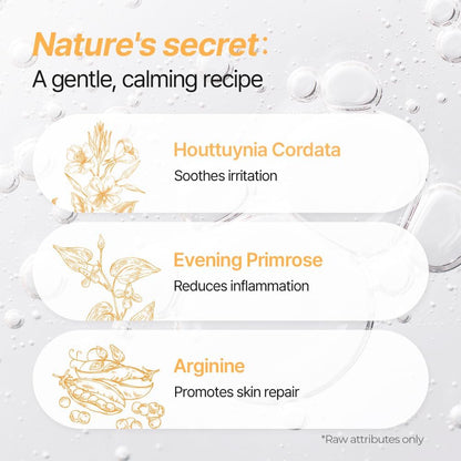 Breezytail PetO’Cera All-in-One Cat Shampoo and Conditioner | Hypoallergenic Cat Skin & Coat Care | Itch Relief, Moisturizing & Rejuvenating | Veterinarian Approved and Formulated (10.1oz, 300ml)