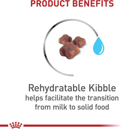 Royal Canin Feline Health Nutrition Mother & Babycat Queen Dry Cat Food, 3 lb Bag