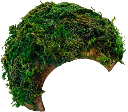 BESTonZON Hamster Shelter and Reptile Hideout Mossy Cave Terrarium Ornament with Tortoise Basking Platform for Turtle and Lizard Habitat