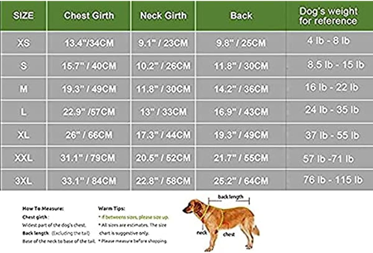 American Flag Popsicle 4th of July Funny Graphic Puppy Clothes Memorial Day, Independence Day, Holiday Dog Clothes for Small Dogs Boy Girl, Pet Cat Outfit (X-Small, Firecracker)