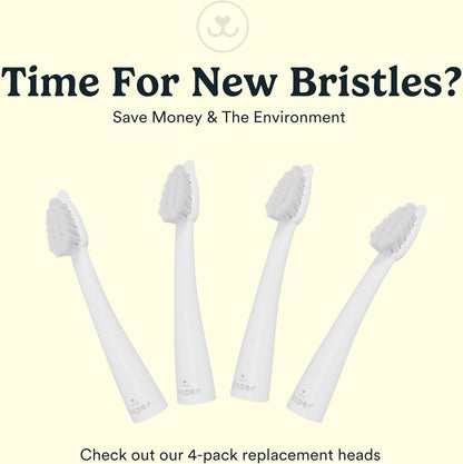 Jasper Microbrush Vet Approved Cat Toothbrush, Soft-Bristled Toothbrush Kit for Felines & Small Dogs, Non-Slip Handle with 2 Replaceable Tooth Brush Heads, Use with Cat Toothpaste