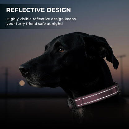 2025 Upgrade Airtag Dog Collar, Reflective Dog Collar with Airtag Holder, IP68 Waterproof| Metal Buckle| Ultra-Durable| Comfortable Padded, GPS Dog Collars for Medium Large Dogs (Pink,M)