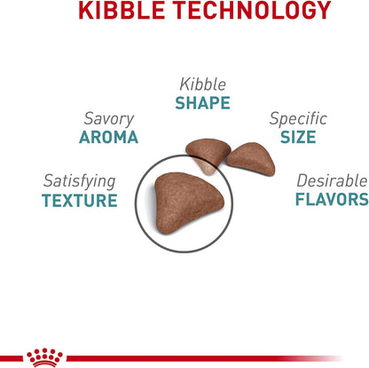 Royal Canin Feline Care Nutrition Hairball Care Adult Dry Cat Food, 14 lb Bag